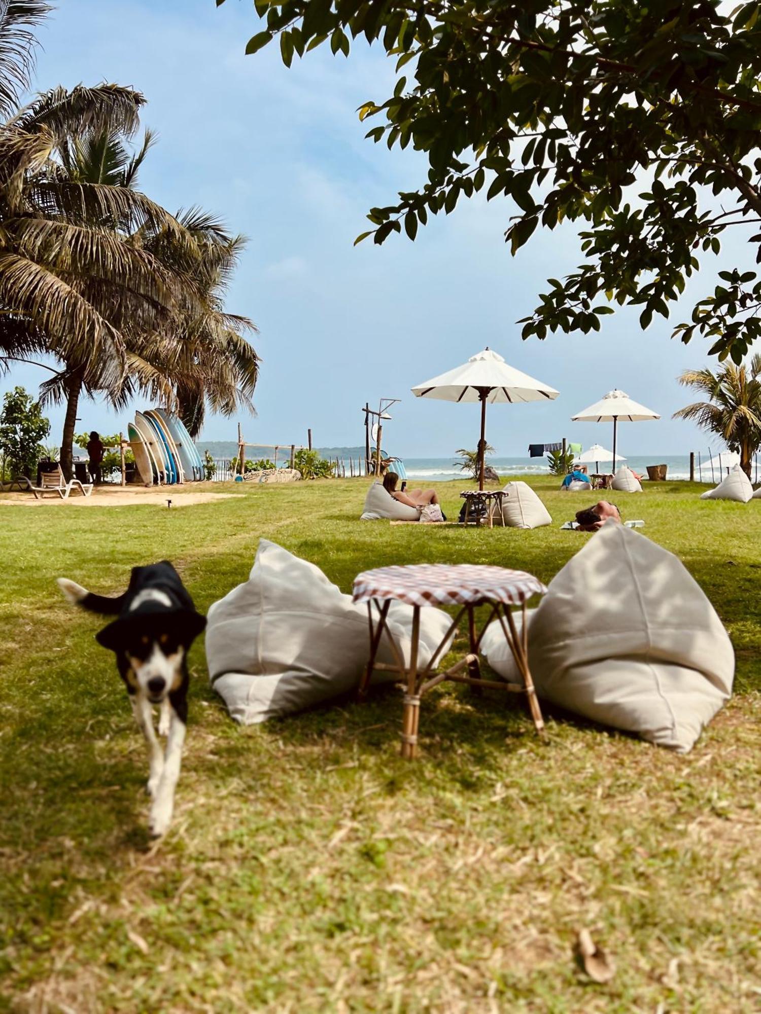 Calma - Surf, Yoga & Coffee On A Private Beach Dikwella Exteriör bild